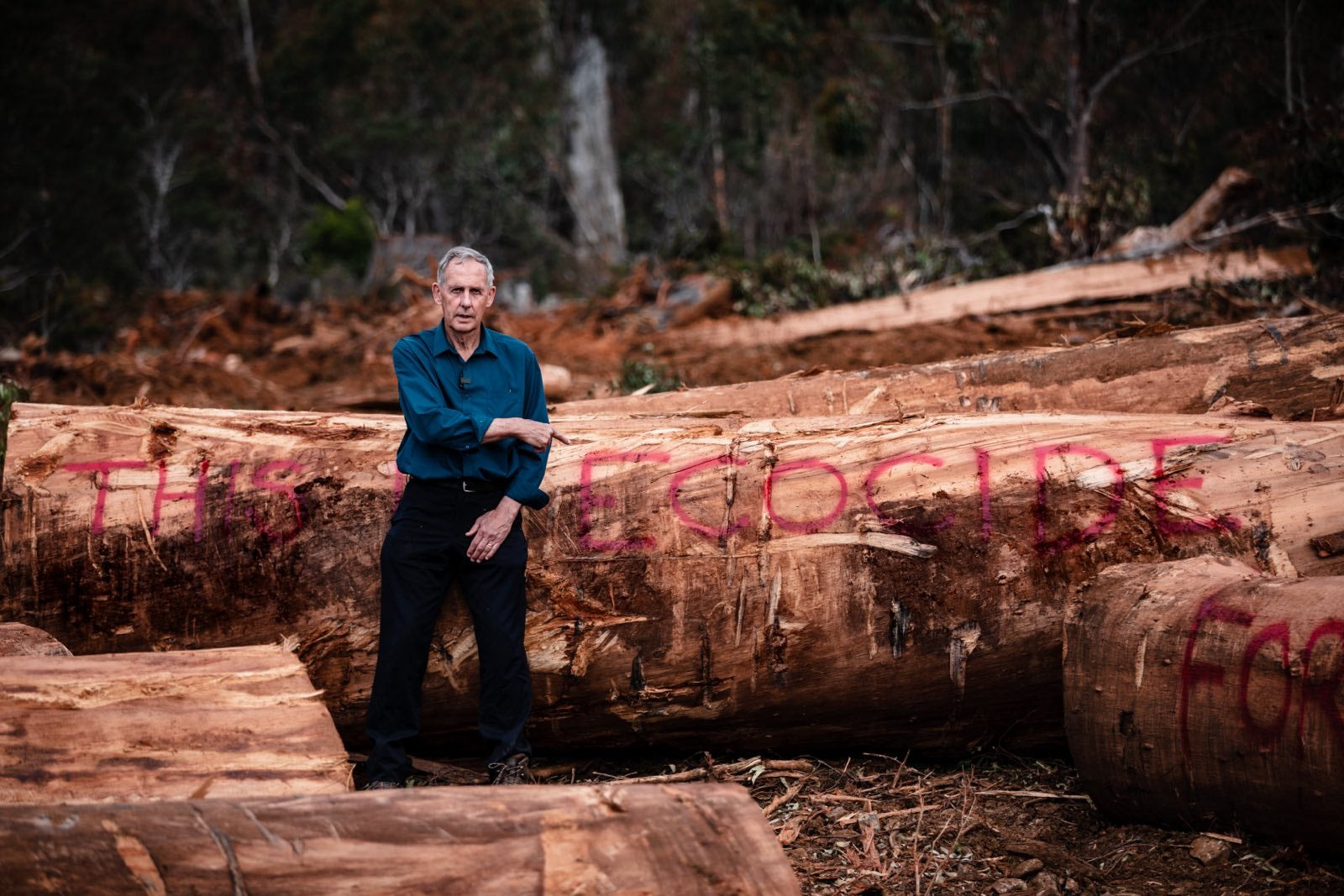 A WORD FROM BOB BROWN: IT’S TIME TO END NATIVE FOREST LOGGING, NATIONA ...