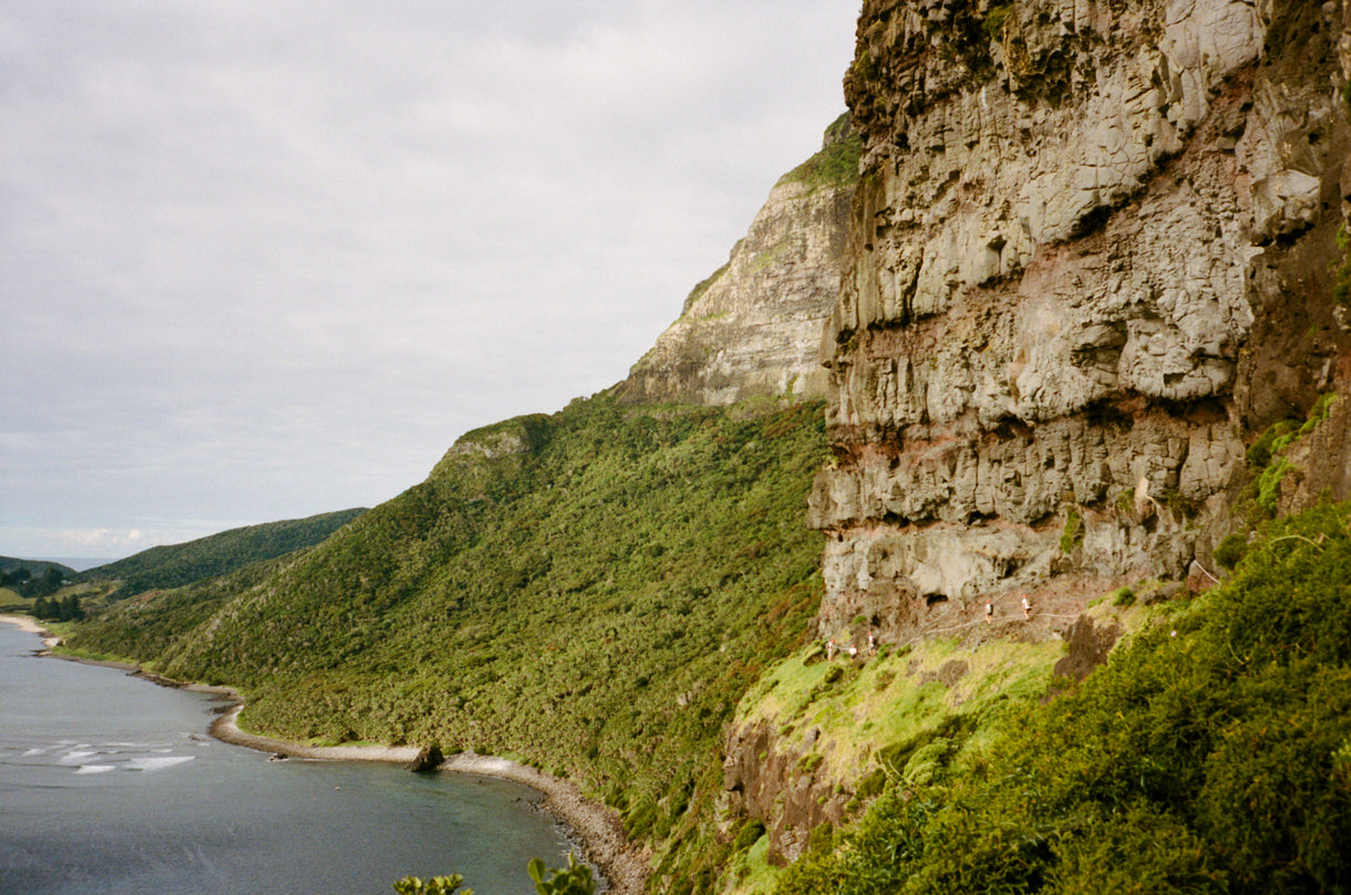 Opening image: Extreme brewing at the edge of the world. Tim, Alastair, Cécile and friends traverse the steep volcanic slopes of Mount Gower in search of ingredients. Photo Jack Friels