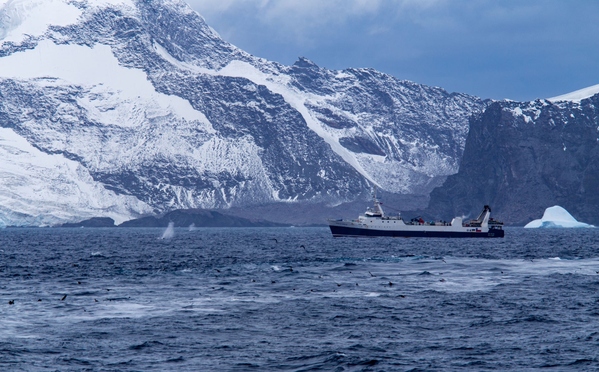 Opening Image: The Antarctic Endeavour super trawler fishing for krill amongst a pod of fin whales in Antarctica’s South Orkney Islands. Photo Mika Van Der Gun