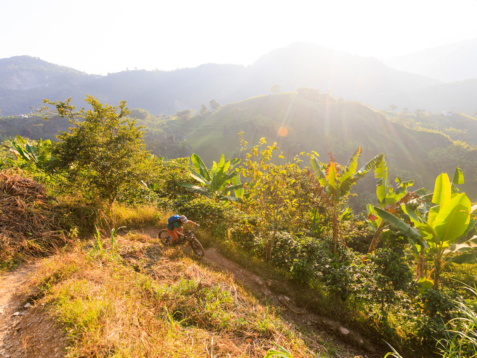 Scientist Emilé Zynobia zips through a golden sea of coffee crops and banana trees after winding through colourfully painted neighbourhoods in Manizales, Colombia.