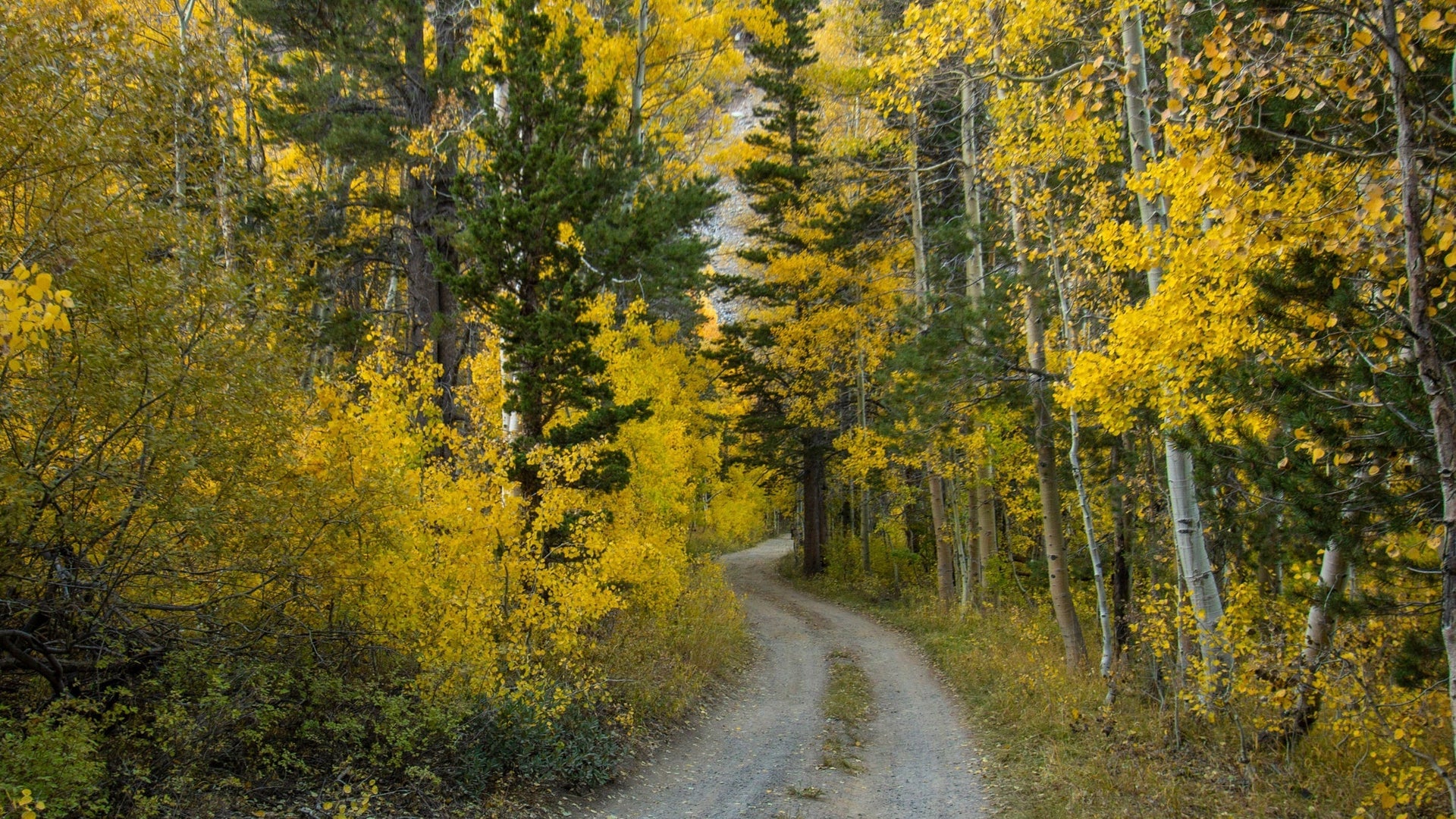 Lundy Lake Road